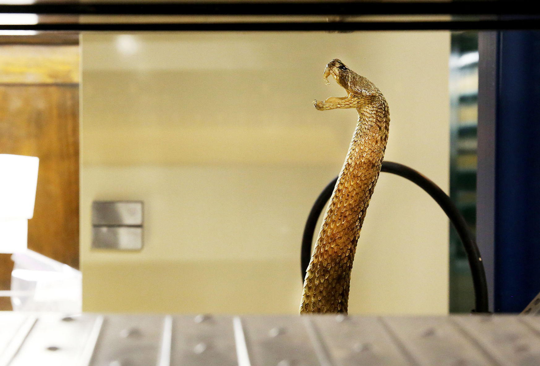 Off Limits: Putnam Museum
